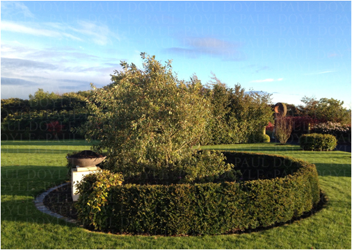 Longstone Beacon Garden